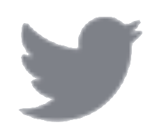 Twitter Logo